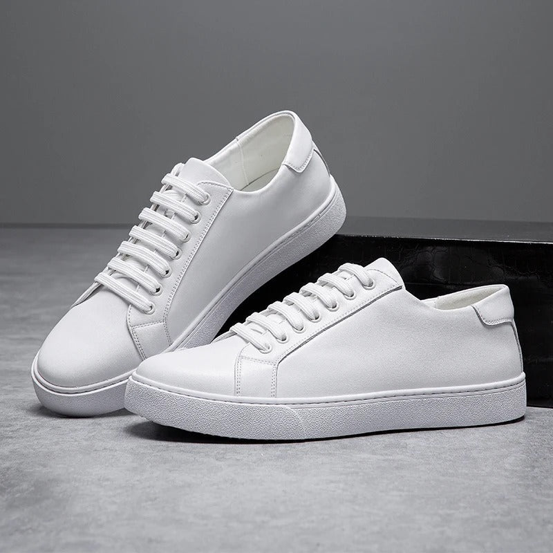 Harrington lave sneakers elegante og trendy